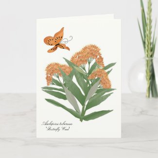 Prairie wildflower greeting/notecard zazzle_card