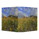 Prairie Wildflowers at Windy Creek in the Many binders