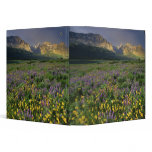 Prairie wildflowers fill meadow near Lake binders