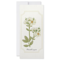Prairie Wildflowers Rack Card and Bookmark