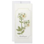 Prairie Wildflowers Rack Card and Bookmark