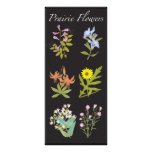 Prairie Wildflowers Rack Card and Bookmark
