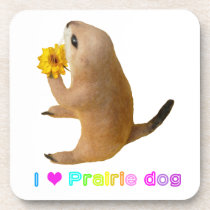Prairiedogs , プレーリードッグ , Cork Coaster
