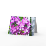 Prairiefire Crabapple Blank Card