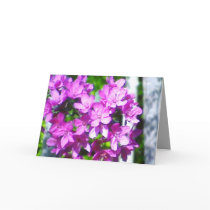 Prairiefire Crabapple Blank Card