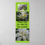 Praise God for what he has created! Posters