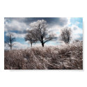 Prarie ice posters