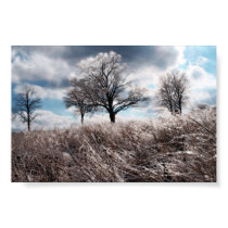 Prarie ice posters