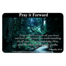 PRAY IT FORWARD Agrainofmustardseed.com 4x6 Magnet