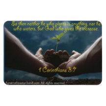 PRAY IT FORWARD Agrainofmustardseed.com Magnet