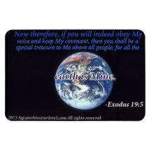 PRAY IT FORWARD Agrainofmustardseed.com Magnet