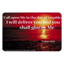 PRAY IT FORWARD Agrainofmustardseed.com Magnet