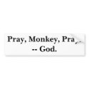 Pray, Monkey, Pray! -- God. bumper stickers by daas_1 Pray, Monkey, Pray! -- God. bumper stickers
