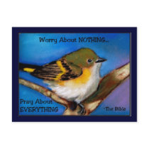PRAY: NO WORRY: BIBLE: BIRD postcards