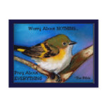 PRAY: NO WORRY: BIBLE: BIRD postcards