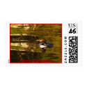 Prayer of the Loon postage
