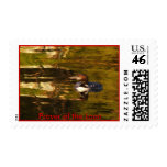 Prayer of the Loon postage