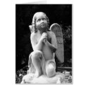 Praying Cherub cards by ktyqueen Praying Cherub cards