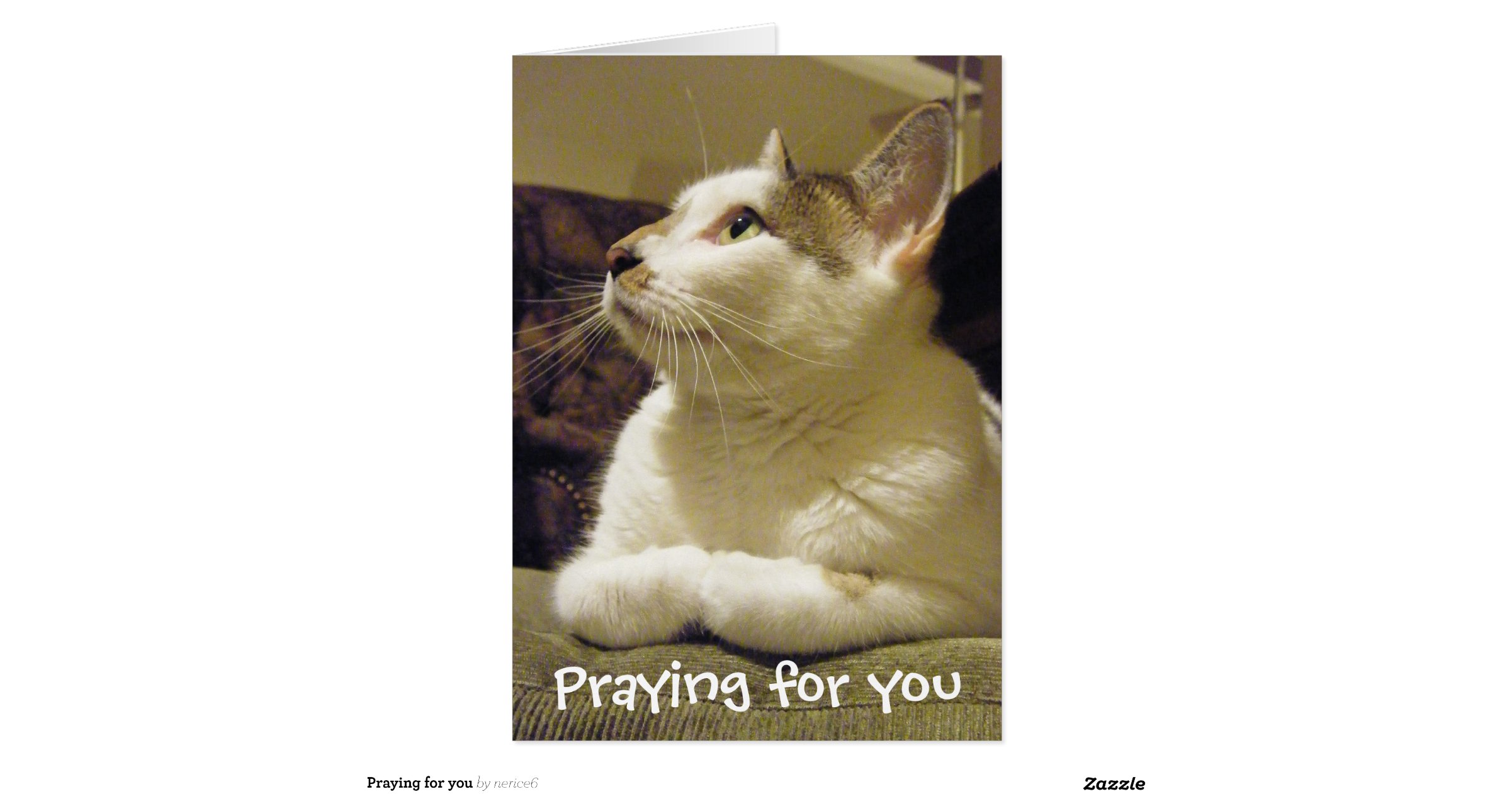 praying_for_you_greeting_card-r6c4e1dc40de042af8dd48944d1060deb_xvuat