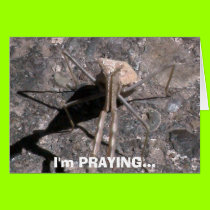 praying, I'm PRAYING... cards