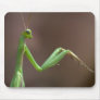 Praying Mantid Mousepad