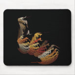 Praying Mantids mousepads