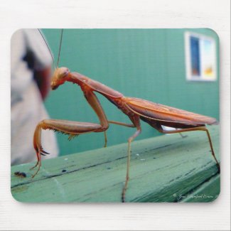 Praying Mantis & ant mousepad