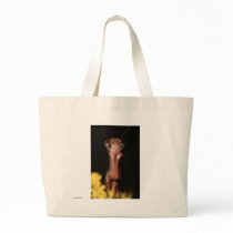 Praying Mantis bags