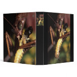 praying mantis binders