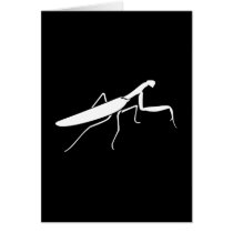 Praying Mantis Cards
