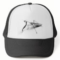 Praying Mantis Collection hat