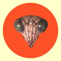 Praying Mantis Face stickers