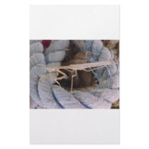 Praying Mantis Happy christmas Stationery Paper