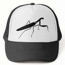 Praying Mantis Hat