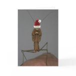 Praying Mantis Holiday Card