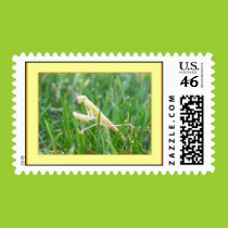 Praying Mantis in grass postage stamps