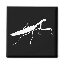 Praying Mantis Refrigerator Magnets