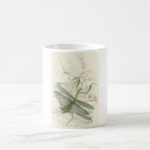 Praying Mantis, Mantis Religiosa Coffee Mugs