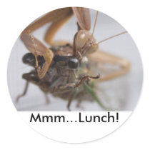 Praying Mantis Mmm...Lunch! stickers