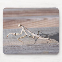 Praying Mantis Mousepad