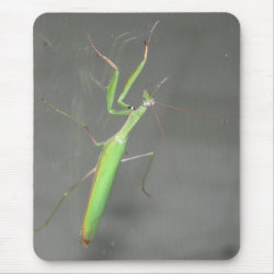 Praying Mantis Mousepad Plus mousepad