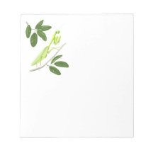 Praying Mantis Notepad