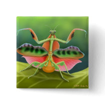 Praying Mantis Pin buttons by twopurringcats Praying Mantis Pin buttons