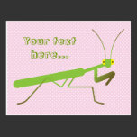 Praying mantis postcards