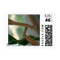 Praying Mantis Postage postage by artstr Praying Mantis Postage postage