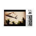 Praying Mantis postage