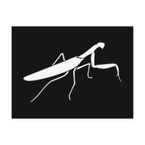 Praying Mantis Postcards