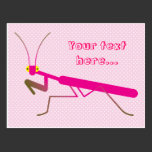 Praying mantis postcards
