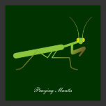 Praying mantis posters