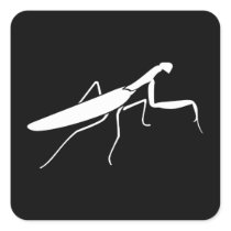 Praying Mantis Stickers